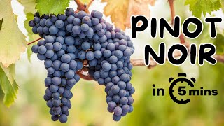 Leer alles over Pinot Noir in minder dan 5 minuten.