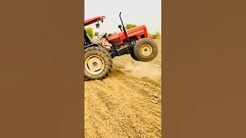جرار بيرقص Shorts 