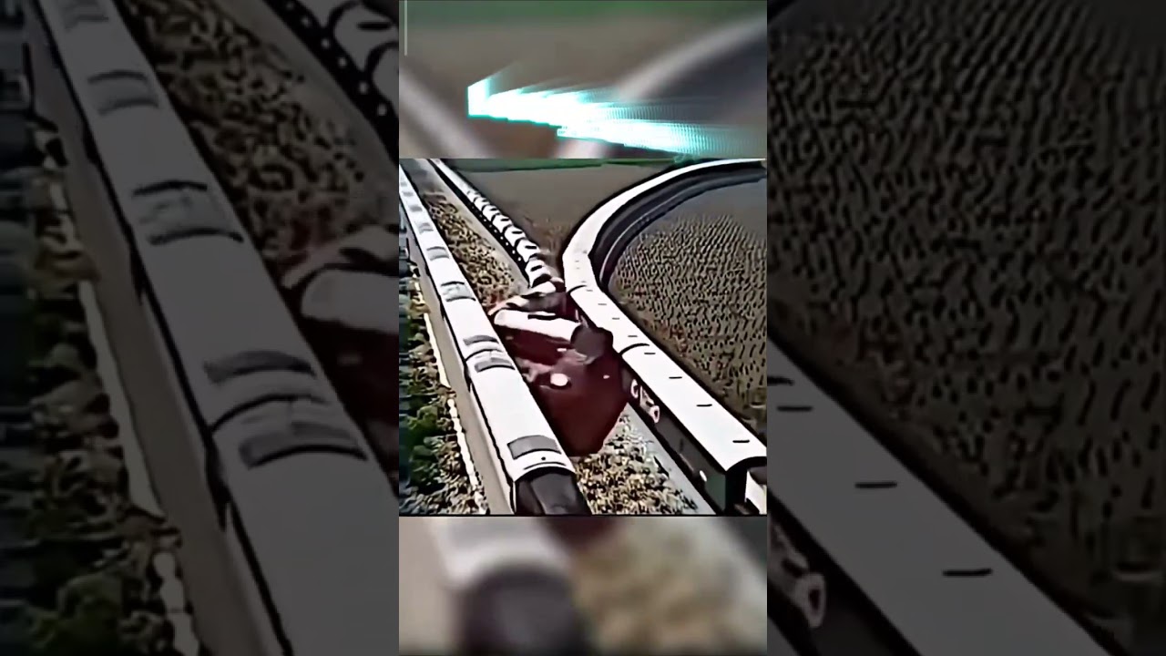 TRAIN CRASH FT EBA VINTAGE (LONELY LONELY TIKTOK) 