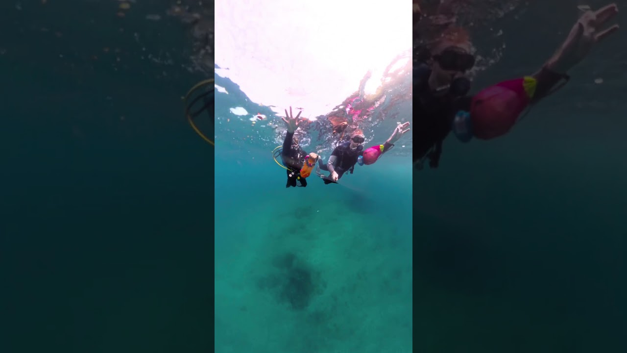 Milestone: 100 Reef Stars Planted 🪸🐠 | World Ocean Day