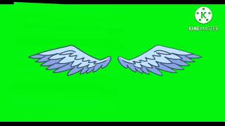 Flying wings test