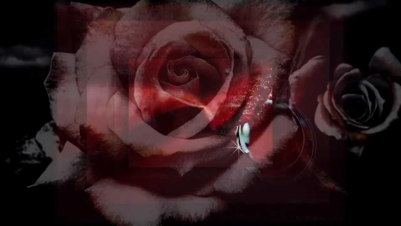 Gregorian  -   Where the wild rose grow.