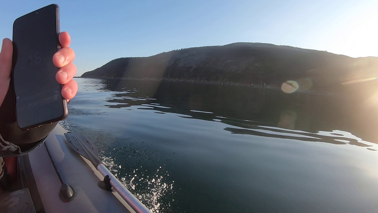 Прогулка на моторной лодке