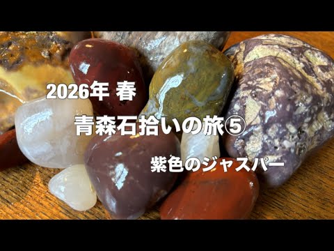2026年 青森石拾いの旅⑤ 紫色のジャスパー - YouTube