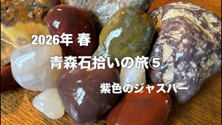 2026年 青森石拾いの旅⑤ 紫色のジャスパー - YouTube