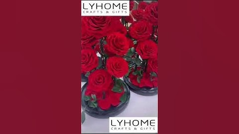 Preserved rose in Glass dome promotional gifts #PRESERVEDROSE #FLOWERROSE #ROSEGIFTS #ROSECRAFTS