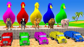Download Lagu Long Slide Game With Cow Elephant Gorilla Hippopotamus Tiger - 3d Animal Game - Funny 3d Animals MP3 Download Lagu Long Slide Game With Cow Elephant Gorilla Hippopotamus Tiger - 3d Animal Game - Funny 3d Animals MP3