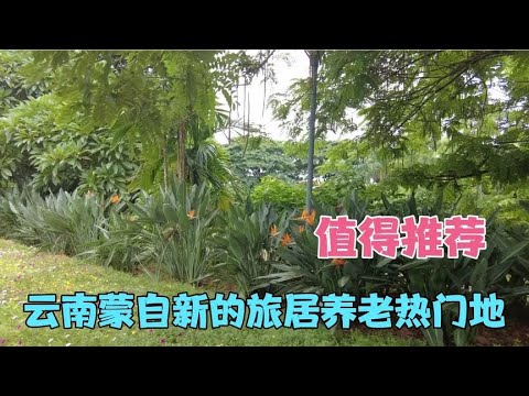 云南蒙自新的旅居养老热门目的地，值得推荐   为什么云南最适合旅居养老