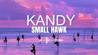 Small Hawk - Kandy {Electronica}