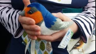 Memory Apron Barn Swallow