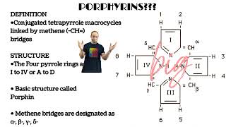 Porphyrins Explained Simply (Biochemistry Made Easy)