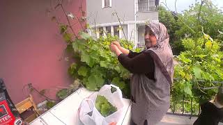 GÜNLÜK VLOG , AİLECEK PİKNİK GÜNÜ , EBEBEK ALIŞVERİŞİM #vlog