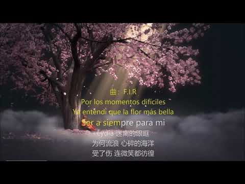 Lydia-歌词伴奏