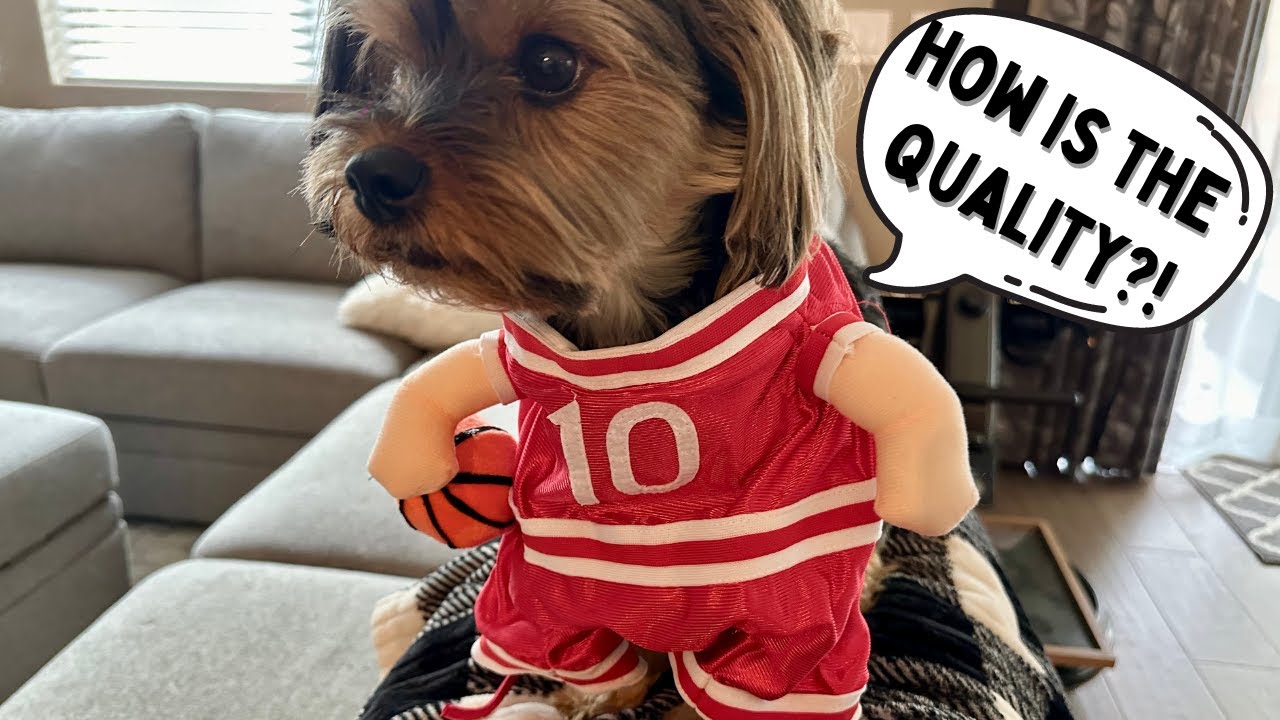 DELIFUR Dog Basketball Player Costume - Pet Halloween Costume Adjustable Funny Review