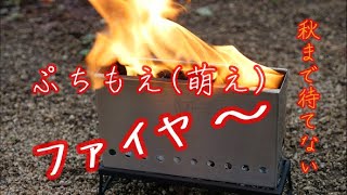 秋まで待てない/ぷちもえ(燃え・萌え)ファイヤー 秋まで待てない/ぷちもえ(燃え・萌え)ファイヤー