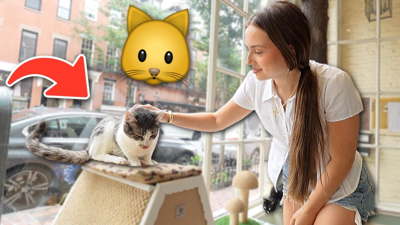 Сделал сюрприз своей девушке, подарив ей кота!!