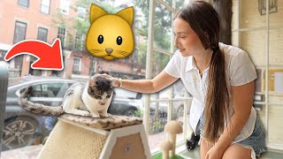 Famous Surprising My Girlfriend With A Cat!! Net Worth
