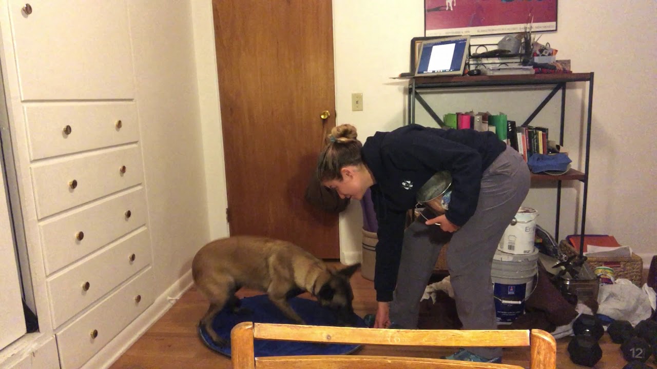 Day 2 of Karen Overall’s Relaxation Protocol with Tule YouTube