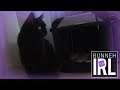 BUNNEH IRL ♥ 6.27.2017 - Yayyy presents for Brucie!