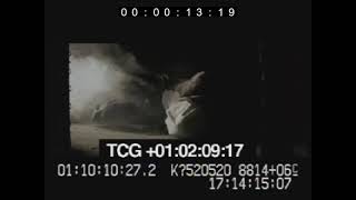 Chasing Ghosts