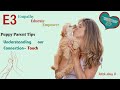 Importance of Touch With Your Puppy