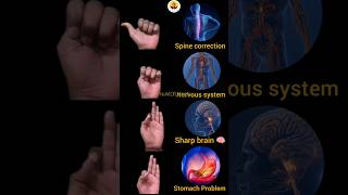 Hand Mudras for #sharpmind #nervoussystem #spinecorrection #stomachproblem do it for 5 minutes daily