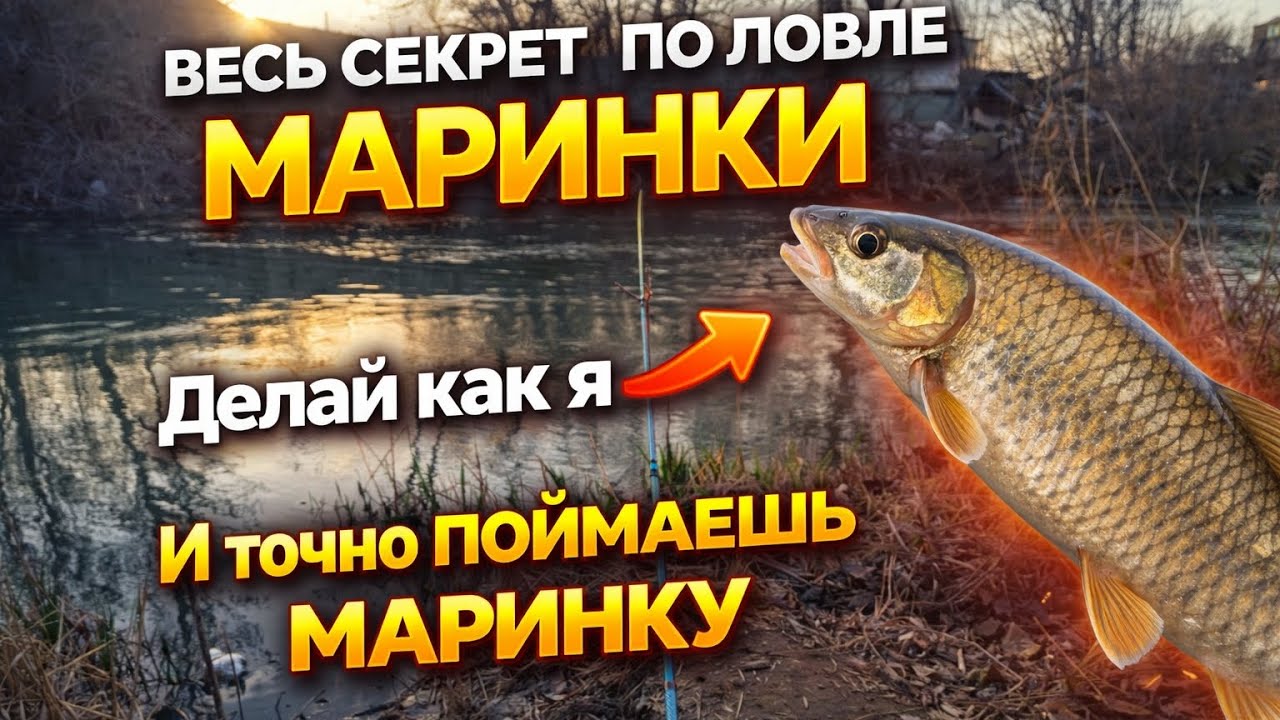 Хочешь поймать маринку? Делай как я
