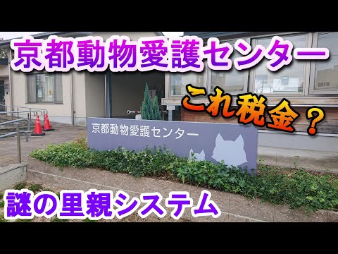 ひどい犬猫里親募集の京都動物愛護センター （保護団体、愛護団体ボランティア）