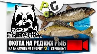 Русская Рыбалка 4 Охота на редких рыб: Ерш-носарь, Вырезуб, Линь золотистый, Голец куорский, Угорь