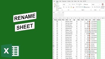How to Rename Excel Sheets in Excel Workbook: Episode 03