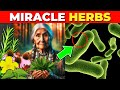 12 Plants Native Americans Use To Cure Everything!