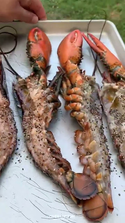 Memasak lobster #shorts #memasak #cooking