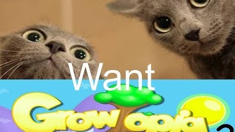 CatsWantGrowtopia - #2 Part 1 - Getting your first World Lock