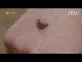 Včelár Rudolf Moravčík - Klub na Trojke