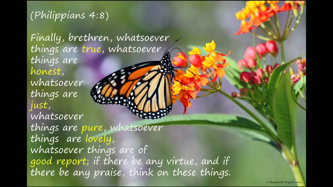 Image result for kjv bible verses butterflies