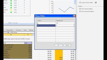 3 Creating a simple Xcelsius Presentation 16m 47s
