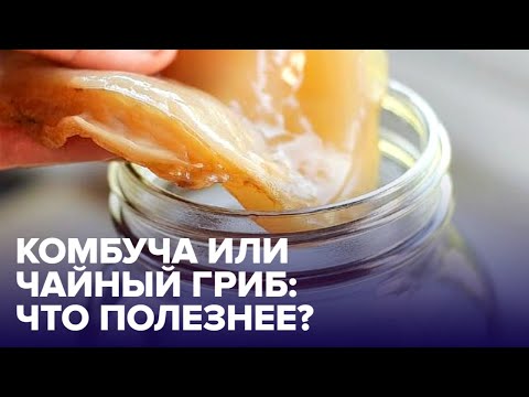 КОМБУЧА: что это такое, почему на ней все помешались?