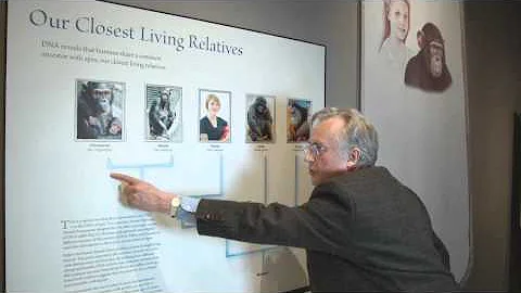Richard Dawkins : Why are there still Chimpanzees? - Nebraska Vignettes #2