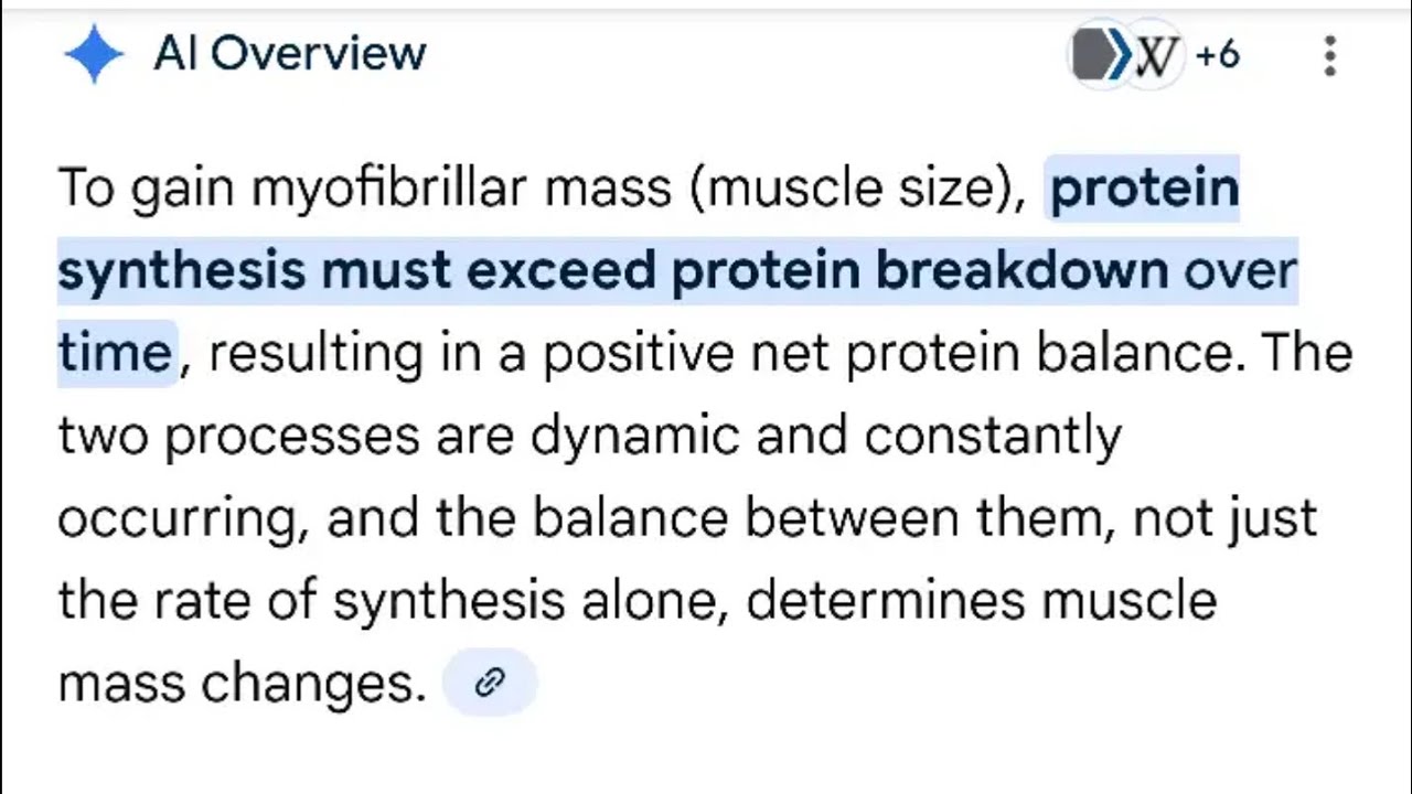 Вопросы и ответы по многочисленным просьбам: «Синтез белка», мышечная масса и обратный процесс ра...