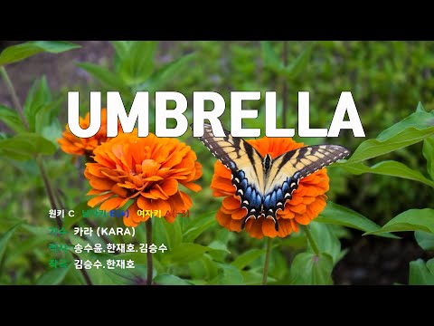 [은성 반주기] UMBRELLA - 카라(KARA)