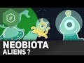 Neobiota: Erd-Aliens - Ökologie 7