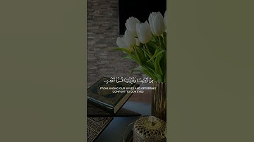 توقف و استمع للقرآن الكريم فهو راحة نفسية سبحان الله♡♡♡♡♡♡♡♡♡♡♡ #القرآن_الكريم #المصحف #القرآن