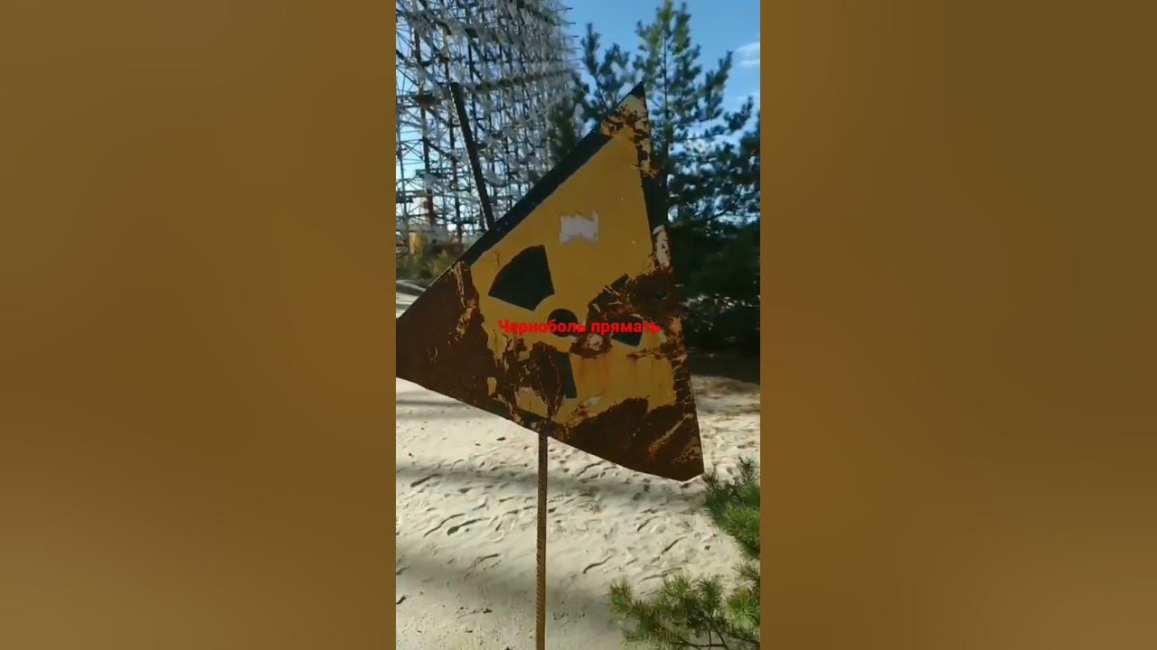 черноболь прямять - YouTube