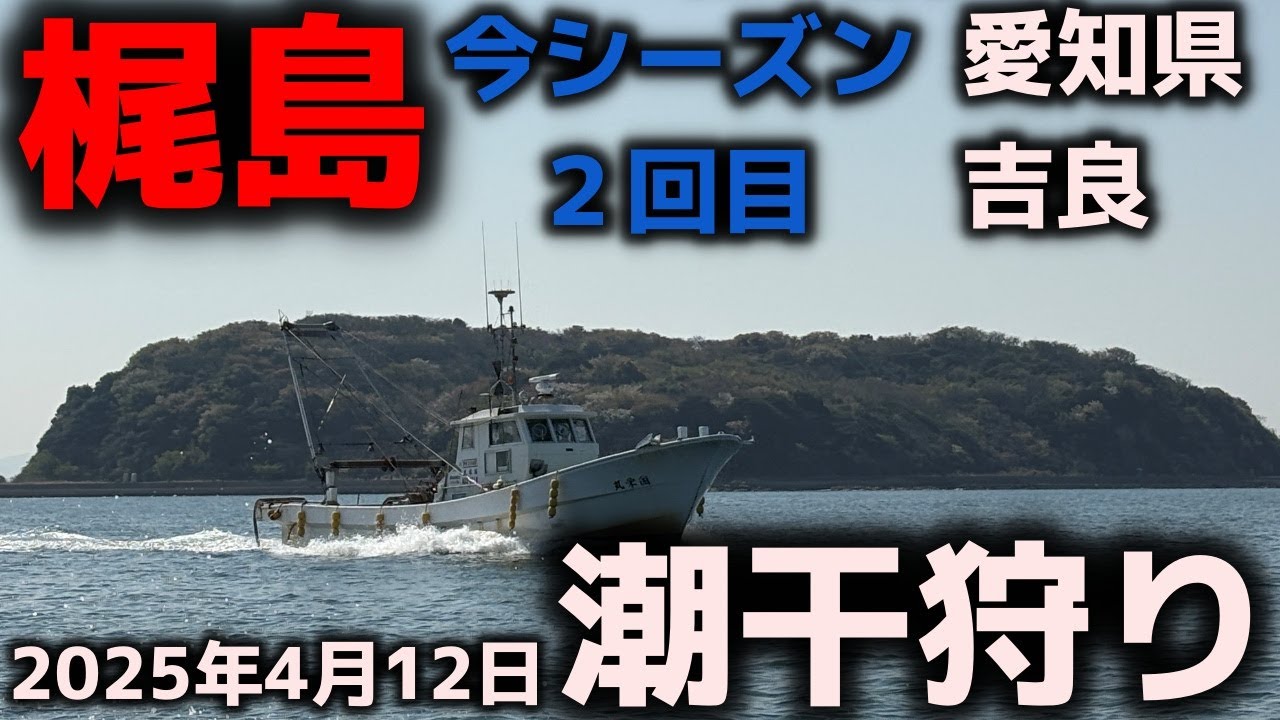 【潮干狩り】梶島今シーズン２回目！2025年4月12日　愛知県吉良