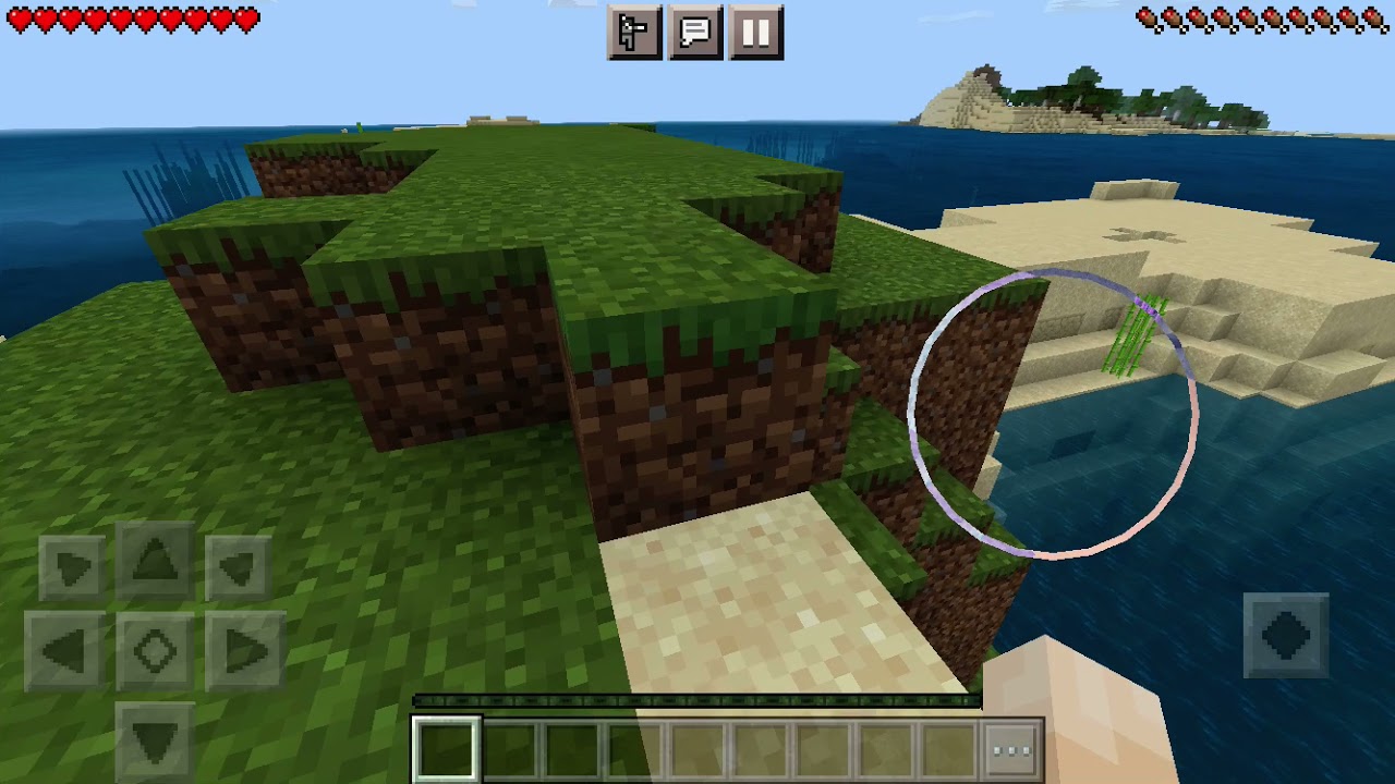 I found a cross seed on mincraft