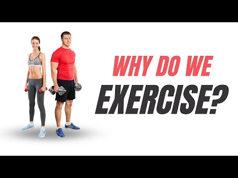 Why Do we Exercise?