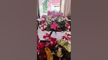 #rudrabhishek #mahadev #bholenath #shankar #trending  #namonamo #shambhu #harharmahadev #shivratri