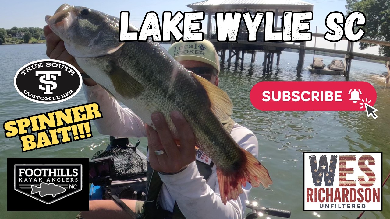 Lake Wylie SC Bass Fishing #fishing #bassfishing #kayakbassfishing