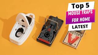 ✅ Best mouse traps for home: Mouse traps for home (Buying Guide)