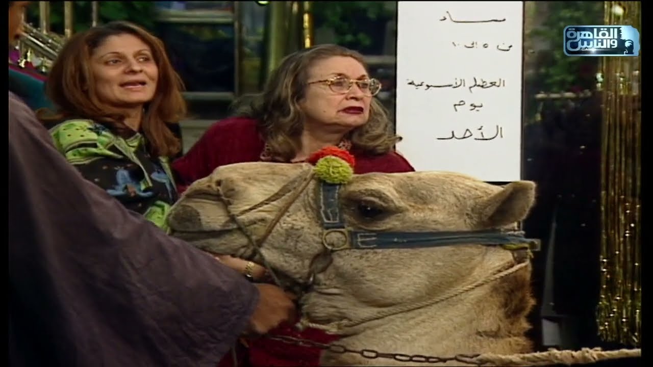 الكاميرا الخفية | موسم 98 | مقلب الجمل